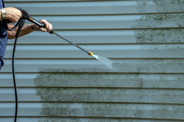 Best Roof Pressure Washing  in Piney Mountain, VA