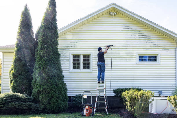 Best Best Pressure Washing Companies  in Piney Mountain, VA