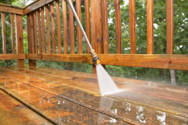 Best Pressure Washing Services Near Me  in Piney Mountain, VA