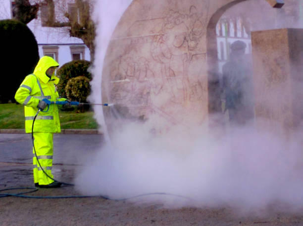 Best Roof Pressure Washing  in Piney Mountain, VA
