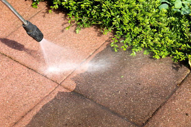 Best Pressure Washing Near Me  in Piney Mountain, VA